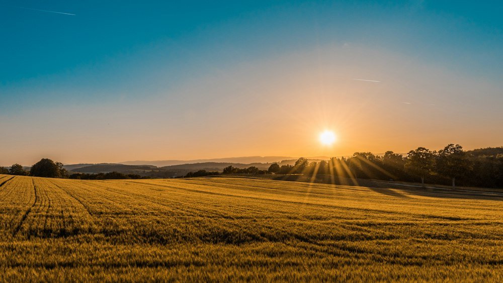 Agriculture Industry